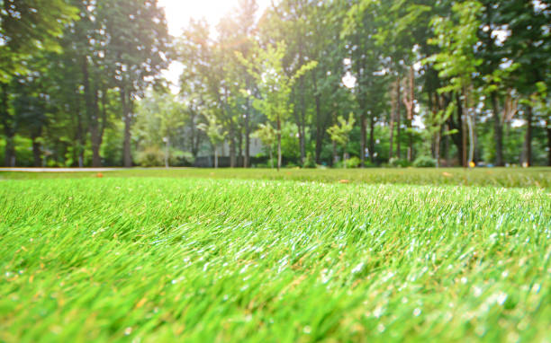 istock Artificial grass closeup. Artificial turf in a summer city park. Blurred background. 1298651656