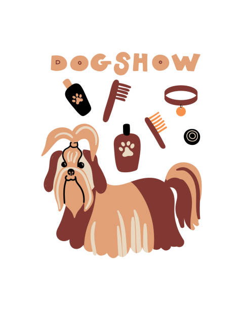 ilustraciones, imágenes clip art, dibujos animados e iconos de stock de retrato vectorial de shih tzu . ilustración de dibujos animados con perro y letras 'dog show' para impresión, póster, pegatina o tarjeta. - grooming dog pets brushing