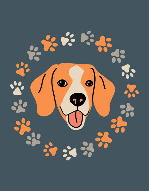 Vector Portrait Of Beagle Cartoon Illustration With Dog For Print Poster  Sticker Or Card Stock Illustration - Download Image Now - iStock