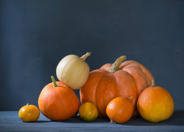 istock orange pumpkin on dark blue background 1298652501