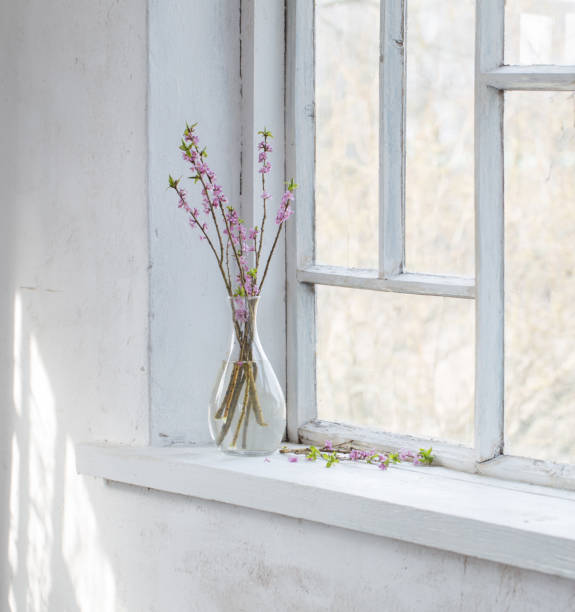 istock daphne flowers in vase on vintage windowsill 1298652509