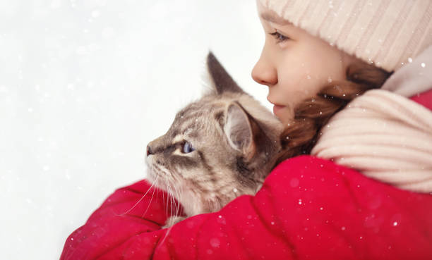 빨간 재킷과 베이지색 모자를 쓴 소녀가 고양이, 개, 장난감과 함께 겨울날을 산책합니다. - russian ethnicity cold relaxation nature 뉴스 사진 이미지