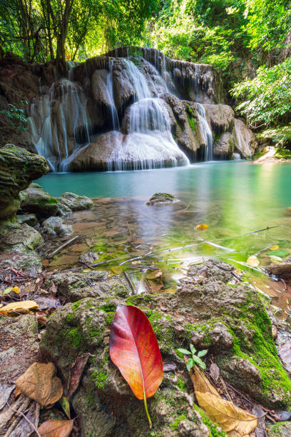 huay mae khamin waterfall est situé dans le parc national du barrage de srinakarin. la cascade coule de l’amont du khao kala, qui est une forêt sèche à feuilles persistantes à l’est du barrage national de srinakarin - national park kanchanaburi province thailand waterfall photos et images de collection