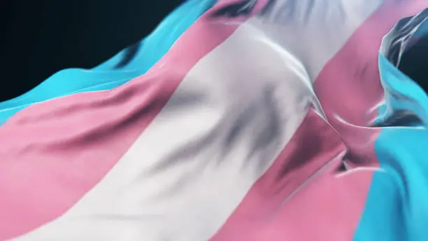 Photo of Waving Transgender Flag