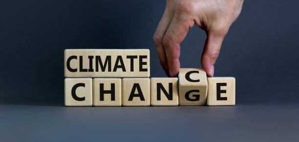 istock Climate change symbol. Hand flips a cube and changes words 'climate change' to 'climate chance'. Beautiful grey background, copy space. Business and climate change concept. 1298659377