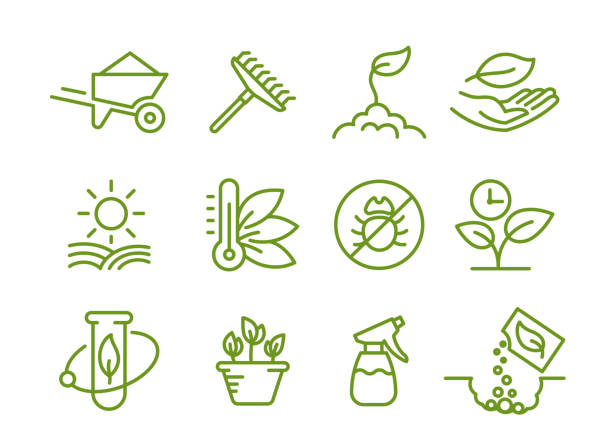 ilustrações de stock, clip art, desenhos animados e ícones de set of icons. growing seedlings plant. agriculture and gardener. biotechnology plants. sowing seeds. vector contour green line. - aeration