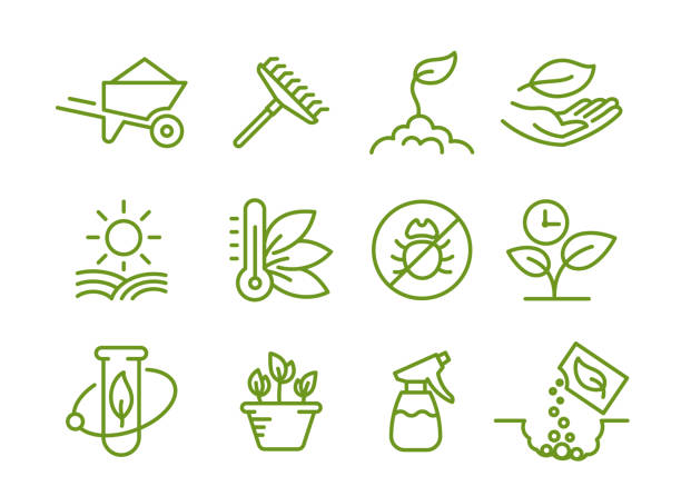 Set of icons. Growing seedlings plant. Agriculture and gardener. Biotechnology plants. Sowing seeds. Vector contour green line. Growing seedlings plant shoots. Set of icons. Agriculture and gardener horticulturist. Biotechnology plants and flasks. Vector outline contour green line. sow stock illustrations