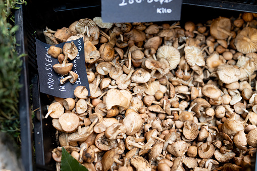 Mousseron mushroom in a big plastic box in a street market