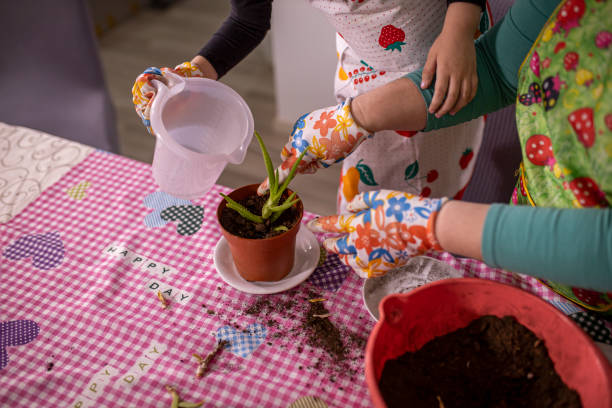 istock Watering house plants 1298667916