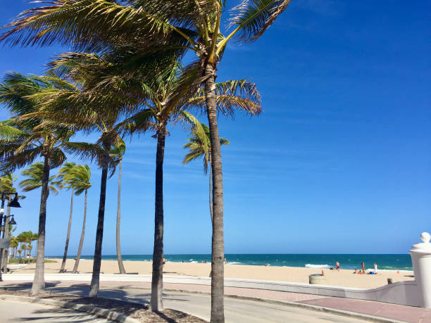 istock Fort Lauderdale Beach 1298669790
