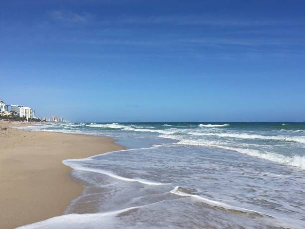 istock Fort Lauderdale Beach Florida 1298669840