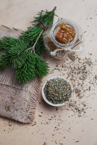 Natural composition: a jar of honey, a bouquet of pine branches and herbal tea. Natural composition: a jar of honey, a bouquet of pine branches and herbal tea. Elements of traditional medicine. pine needle tea stock pictures, royalty-free photos & images