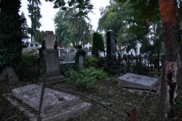 istock Very old gravestone from an old cemetery from 16 century 1298673495