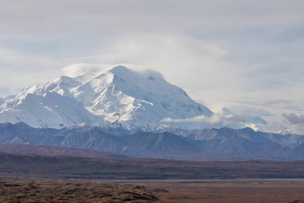 istock Scenic Denali National Park Landscape 1298674179