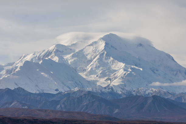 istock Scenic Denali National Park Landscape 1298674232