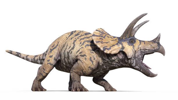 Dinosaurios 3d - Banco de fotos e imágenes de stock - iStock Dinosaurios 3d - Banco de fotos e imágenes de stock - iStock