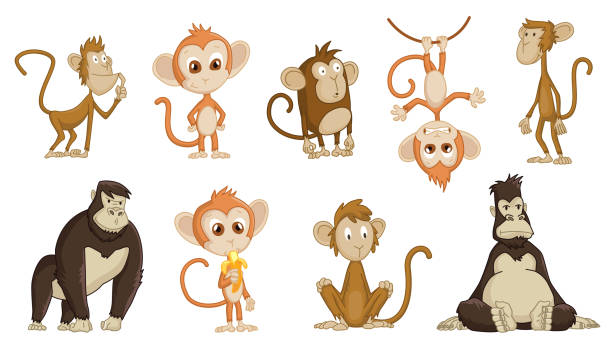 Cute funny monkeys colorful cartoon collection. Set of vector chimpanzee in diferent poses. Wildlife characters Cute funny monkeys colorful cartoon collection. Set of vector chimpanzee in diferent poses. Wildlife characters. clip art of a monkey holding banana stock illustrations