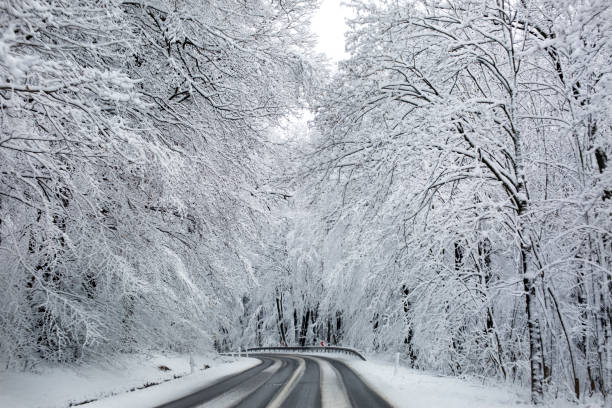 Snow-covered road at Hohe Wurzel area nearby Wiesbaden.