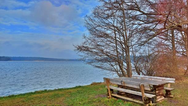 istock Benches at the lake 1298678893