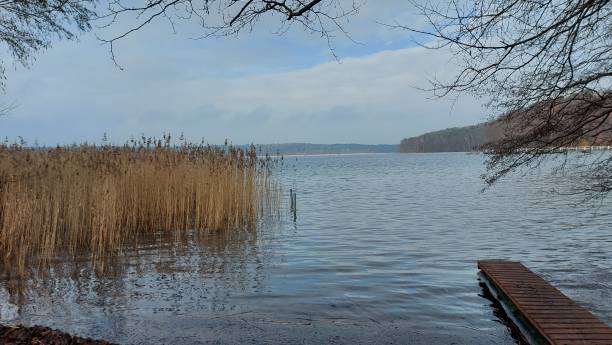 istock View to the lake 1298679027