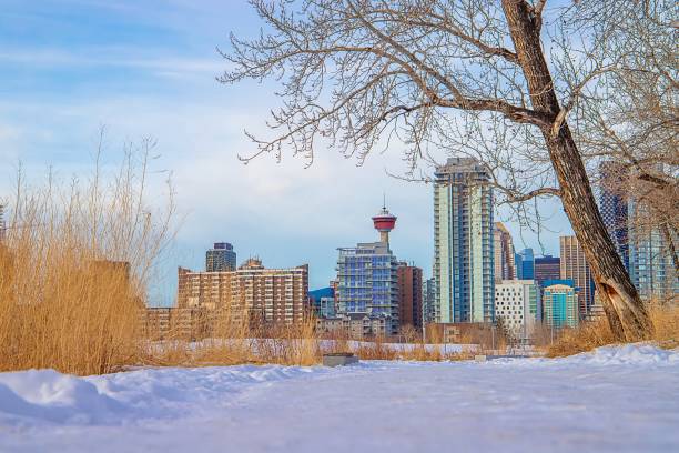 istock Winter Park Walkway By Downtown Calgary 1298681769