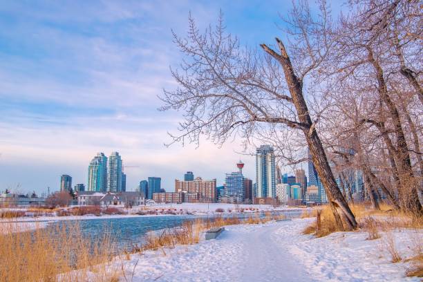 istock Winter Park Walkway By Downtown Calgary 1298682508