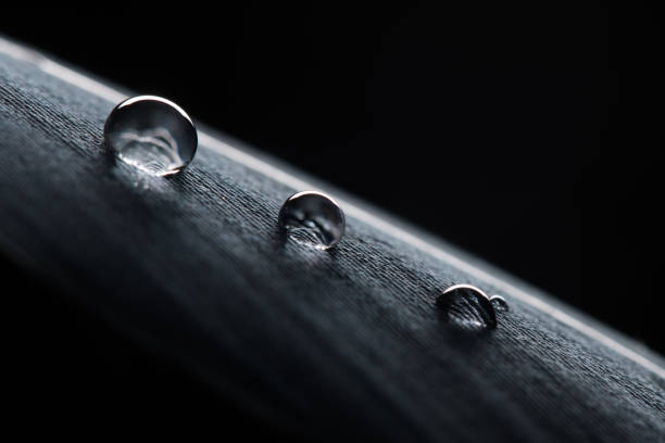 Background Image of water drops on a black feather