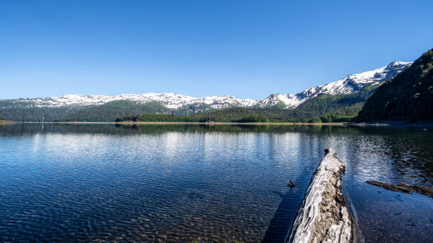 istock Sierra Nevada from Conguillio lake in Conguillio National Park 1298689577