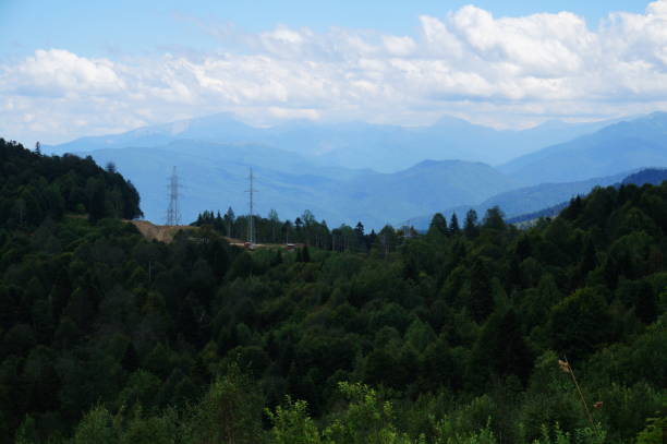 istock Fluffy trees in a mountainous area. 1298693961