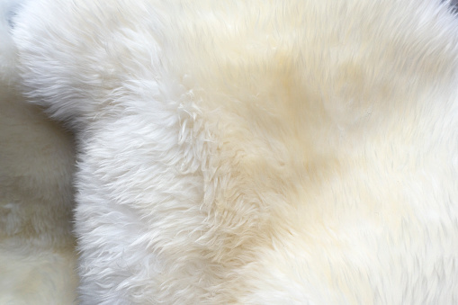 white colored Fluffy Background.Shaggy fur texture.\nFur skins for sheepskin skins for interior design