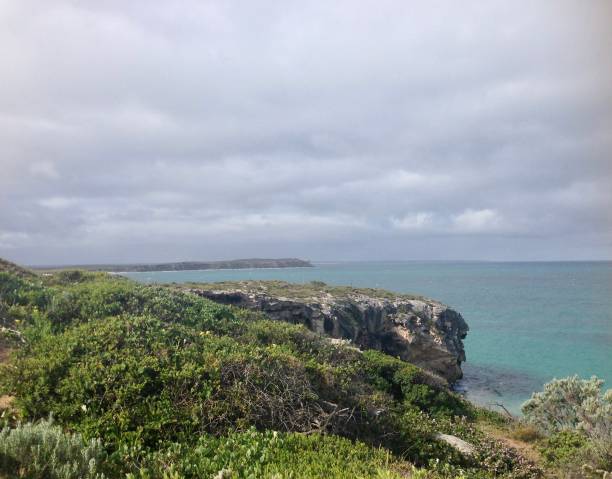 Green bushes, blue ocean... Peaceful mind