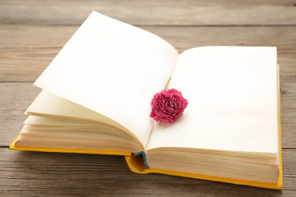 istock An open book with a pink rose flower on it. Grey background. 1298696130