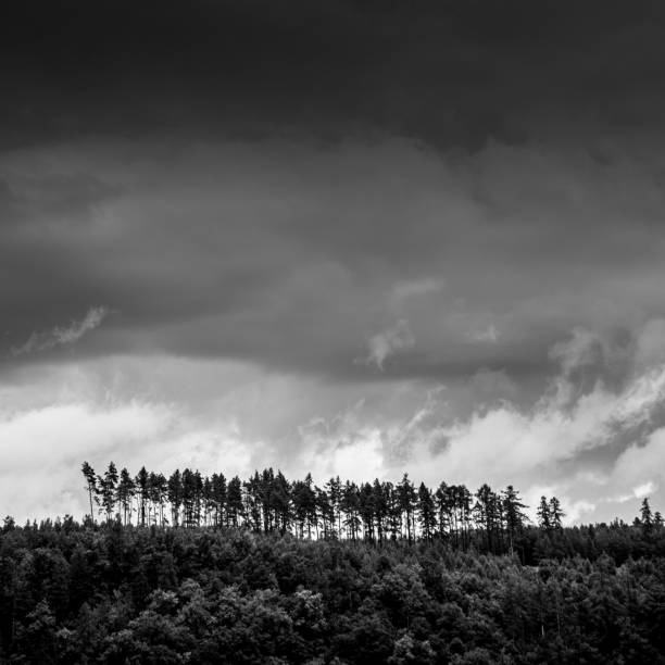 istock Lovely forest covered hills with stormy clouds over them 1298698045