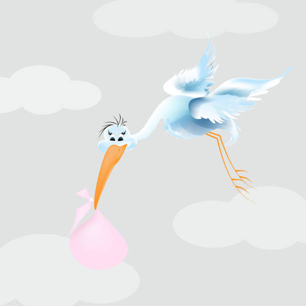 istock Stork with surprise. Little baby inside. This is a girl. This is a Boy. Vector illustration. 1298698812