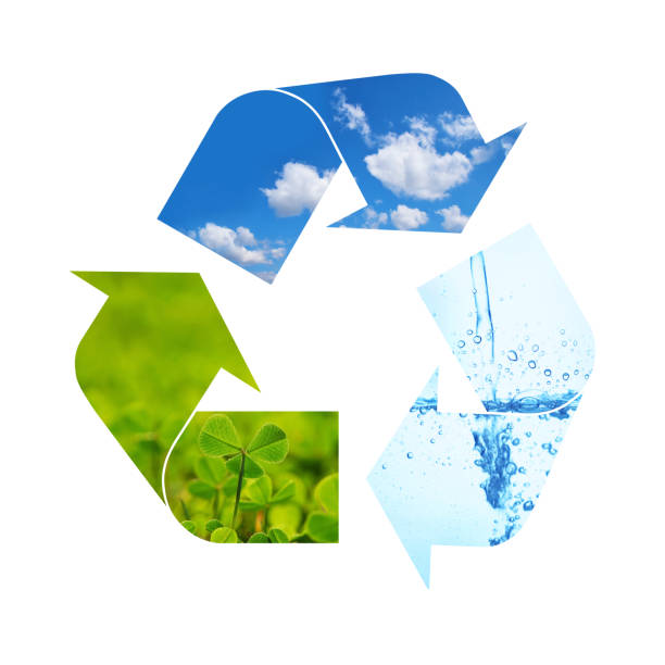 istock Illustration recycling symbol of nature elements 1298699120