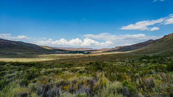 A rocky peak above the trees in the Rocky Mountains