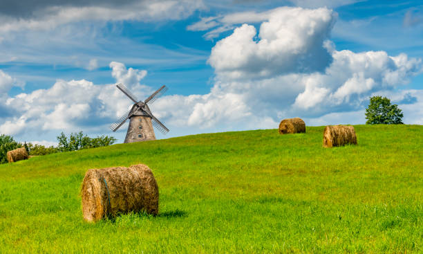 istock Agricultural landscape with haystacks and old windmill 1298702405