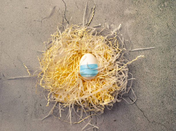 one egg wearing face mask laying in nest on the concrete backdrop. concept of loneliness while easter celebration because of quarantine and pandemic. - mask religious celebration horizontal easter imagens e fotografias de stock