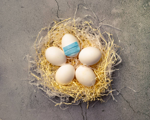 group of white eggs in artificial nest on concrete background. one egg is infected and wearing respirator mask. new reality for easter celebration. - mask religious celebration horizontal easter imagens e fotografias de stock