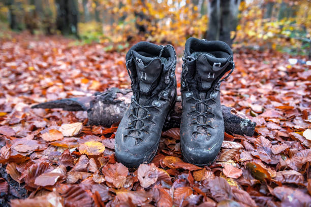 professional hiking boots in the autumn forest
