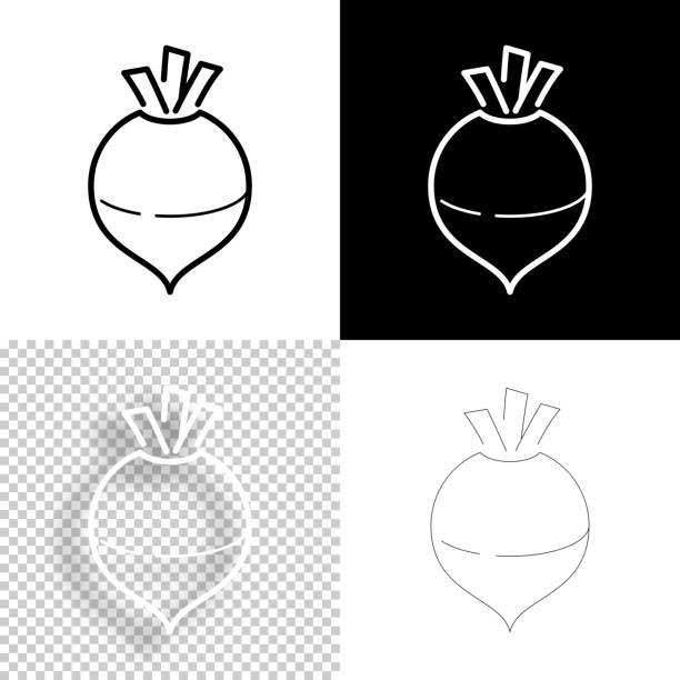 ilustraciones, imágenes clip art, dibujos animados e iconos de stock de rutabaga. icono para el diseño. fondos en blanco, blanco y negro - icono de línea - rutabaga