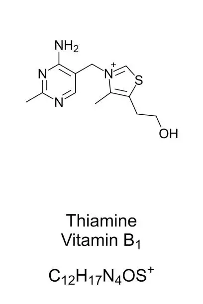 Vector illustration of Thiamine, vitamin B1, chemical structure and skeletal formula