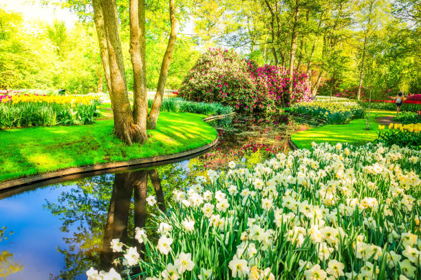 istock fresh lawn with flowers 1298707041