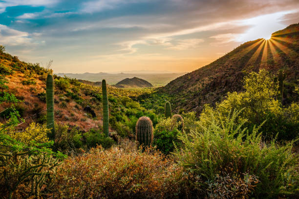 istock Sunset through the valley of the sun 1298710814