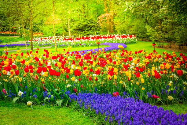 istock fresh lawn with flowers 1298710886