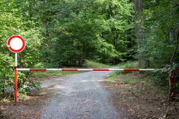 Red and white striped barrier in the woodland