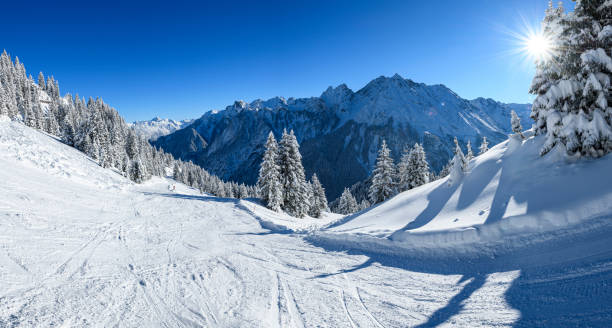 istock Snowcapped trees in ski resort 1298713972