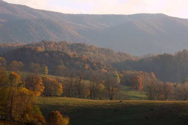 istock Appalachian mountains in autumn 1298714032