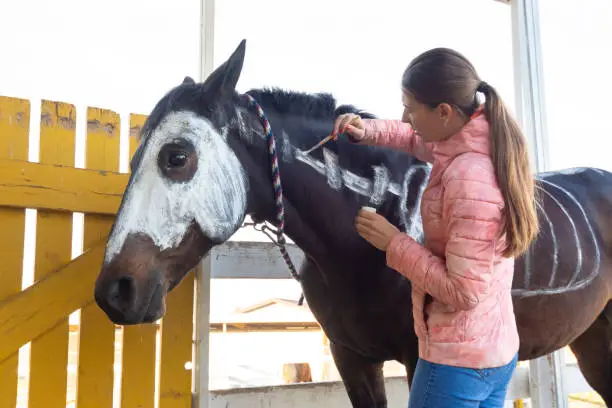 Photo of Girl with watercolors paints a skeleton on a horse