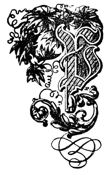 ilustraciones, imágenes clip art, dibujos animados e iconos de stock de vintage línea antigua dibujo o grabado de decorativo floral ornamental letra capital p - letter p floral pattern flower typescript